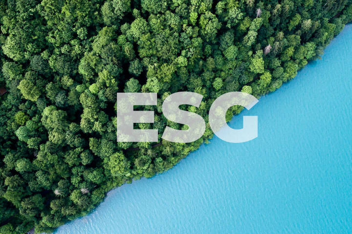 ESG-Manager im Berufsleben